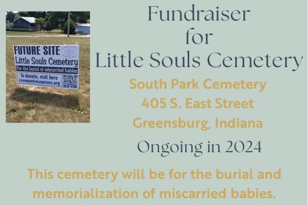 Fundraiser for Little Souls Cemetery