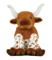 Longhorn Cow